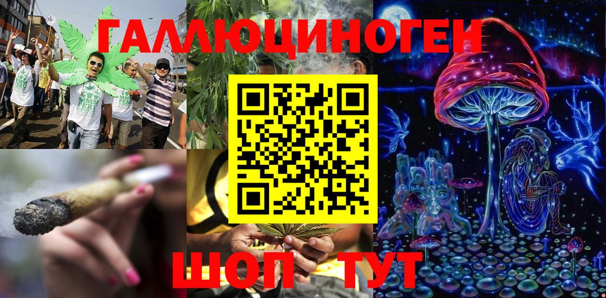 Псилоцибиновые грибы Psilocybe  Вход с VPN  Жуковский  Галлюциногенные грибы мухоморы 