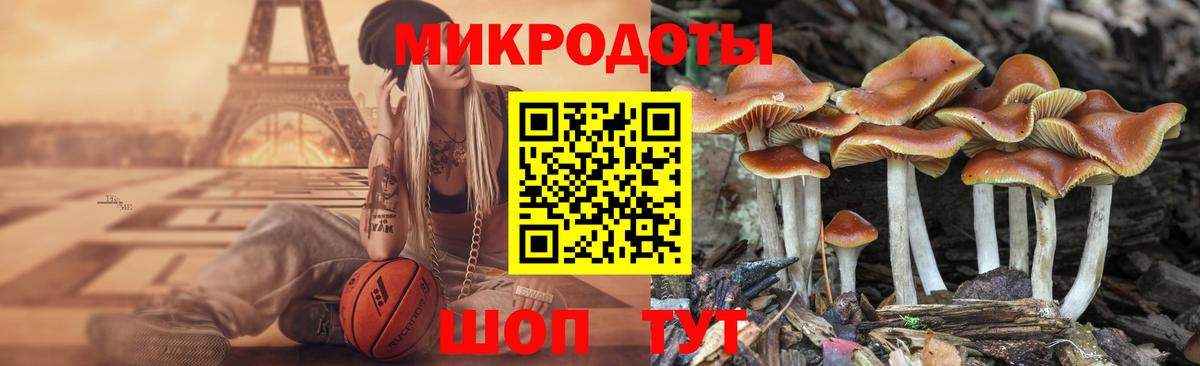 Псилоцибиновые грибы Psilocybine cubensis Жуковский
